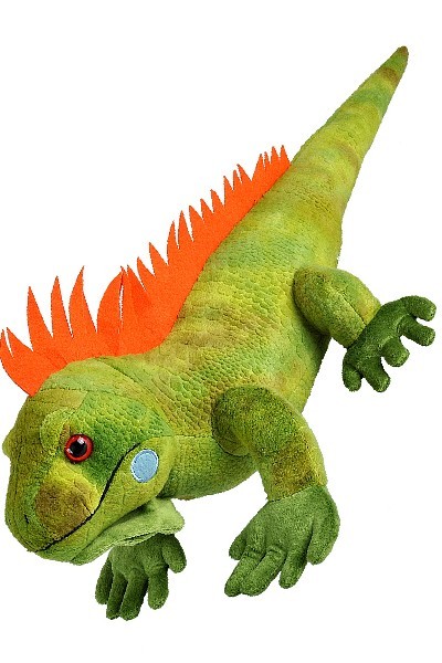 iguana teddy