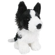 BORDER COLLIE - LITTLE MATEY