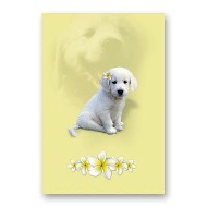 ONE $ KOALA CARD - CLASSIC PUPPY