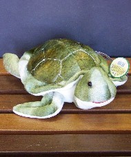 TURTLE - SEA