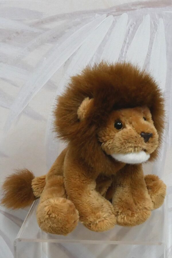 LION - LARS