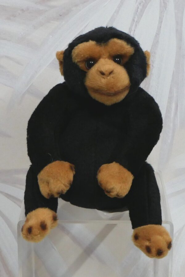 MONKEY - CHAN THE CHIMP