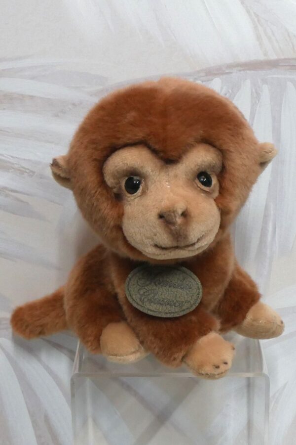 MONKEY - NEW BORN