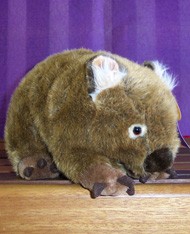 WOMBAT - RUSSELL