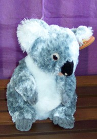 KOALA - NELLIE