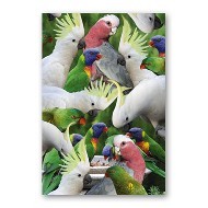 ONE $ KOALA CARD - AUSSIE BIRDS