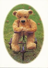 BLOOMSDALE CARDS - BEAR ON BIKE