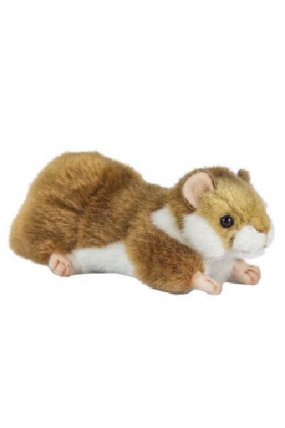 HAMSTER