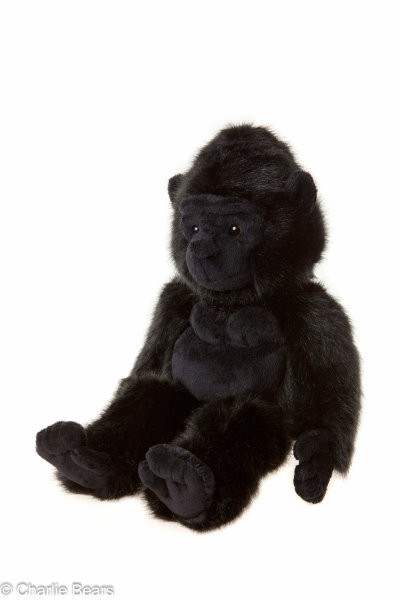 DUNDAS - BEARHOUSE GORILLA