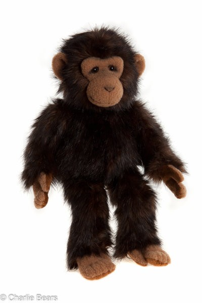 FLITWICK CHIMP <br>BEARHOUSE