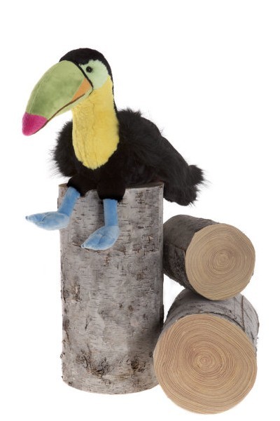 RIO TOUCAN