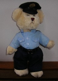 AIRFORCE TEDDY