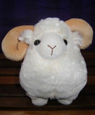 SHEEP - MACARTHUR RAM