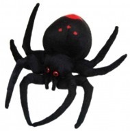 SPIDER - REDBACK