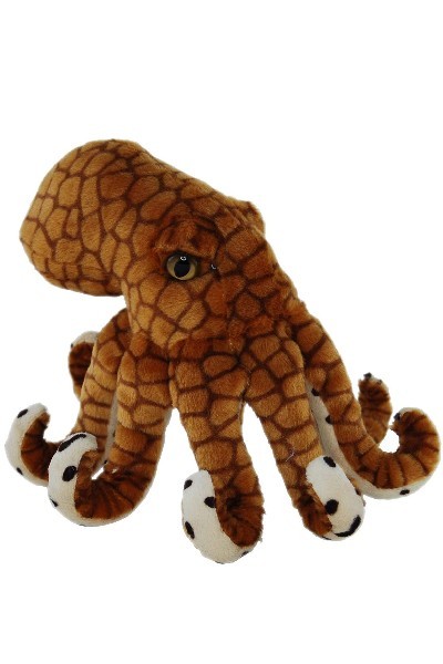 free octopus energy teddy