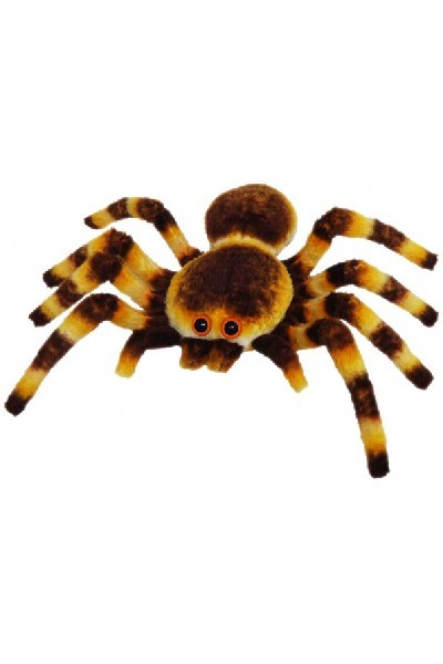 SPIDER - BROWN