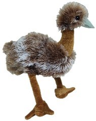 EMU - KOONDOOLA