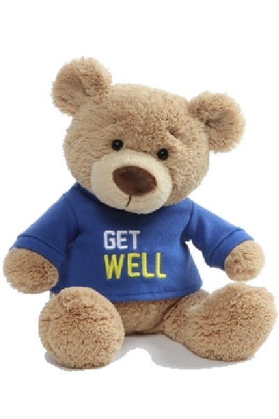 GET WELL BEAR