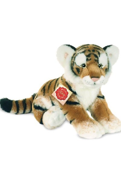 TIGER SITTING - EVERYDAY RANGE -