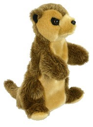 FULL BODY - MEERKAT