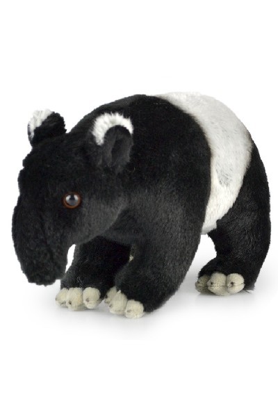 TAPIR