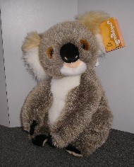 KOALA - ADELAIDE