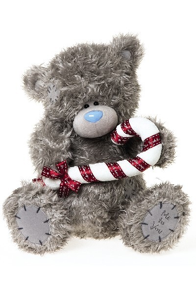 CHRISTMAS - TATTY TEDDY