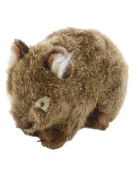 WOMBAT - TUBBY