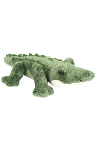 CROCODILE - CHOMPY