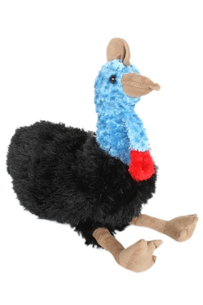 CASSOWARY - CASSIE