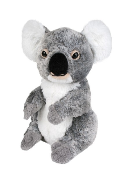 KOALA - MACKENZIE