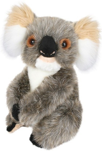 KOALA - LITTLE ADELAIDE