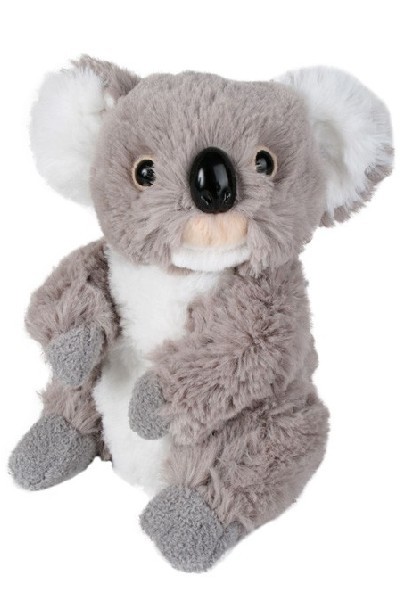 KOALA - KELVIN