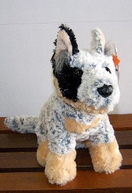 BLUE HEELER - BLUEY