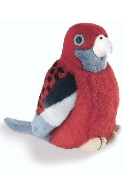 CRIMSON ROSELLA <br> WITH SOUND