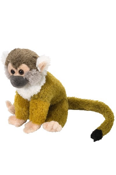 MONKEY - SQUIRREL