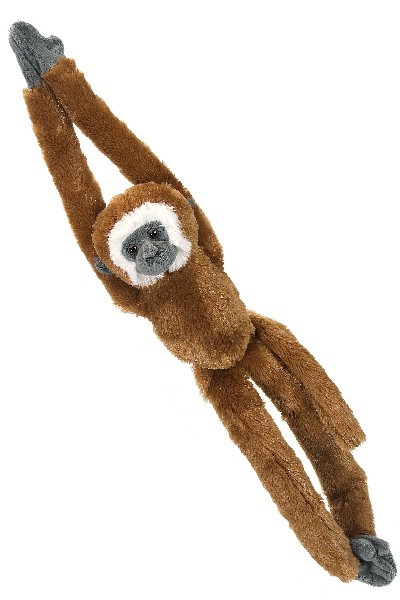 MONKEY - LAR GIBBON