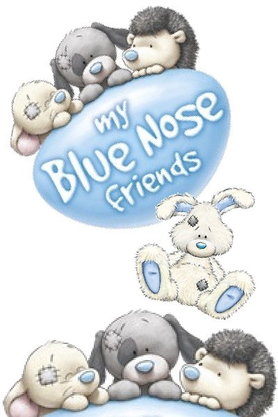 Tatty shop teddy friends