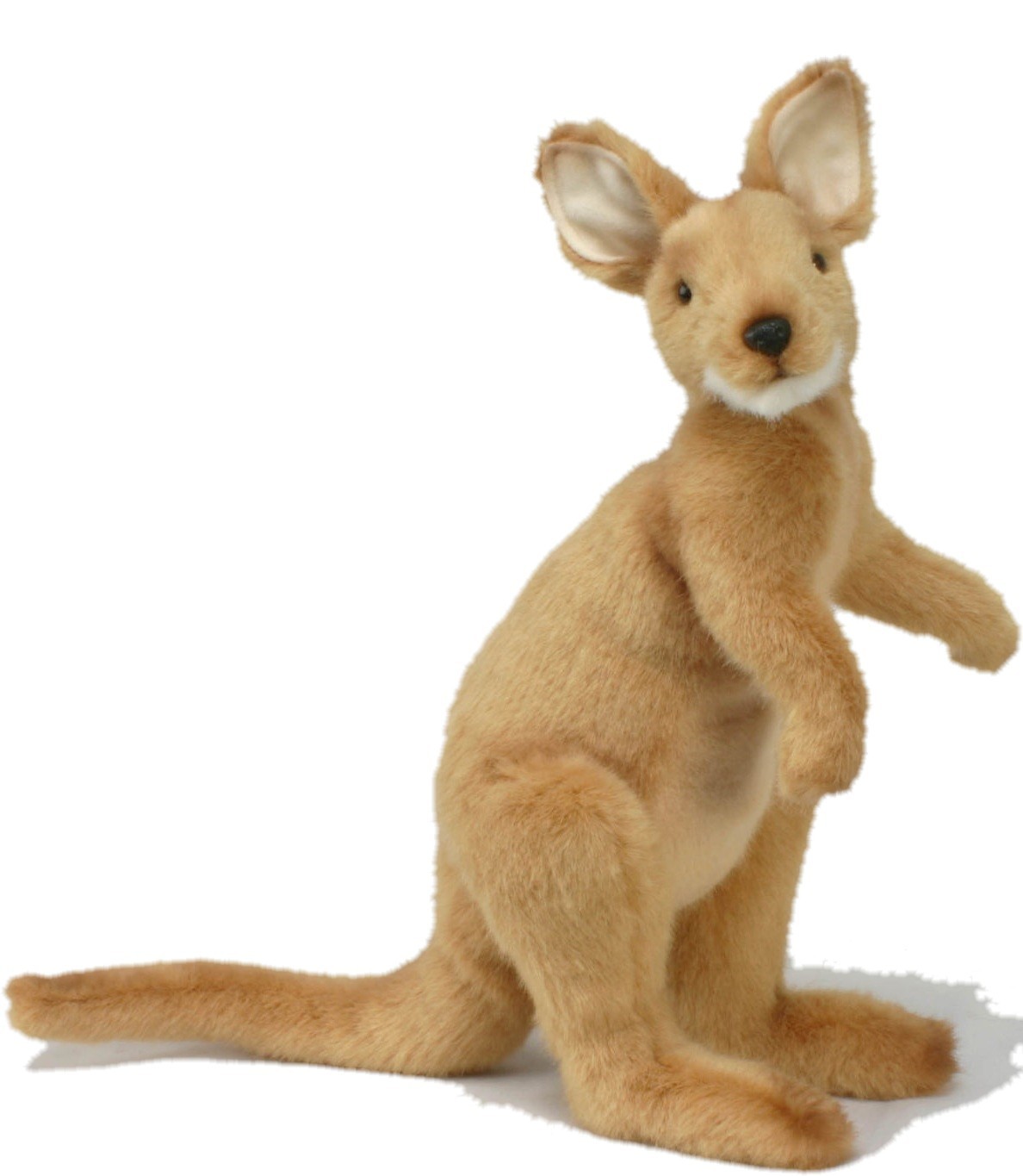 KANGAROO