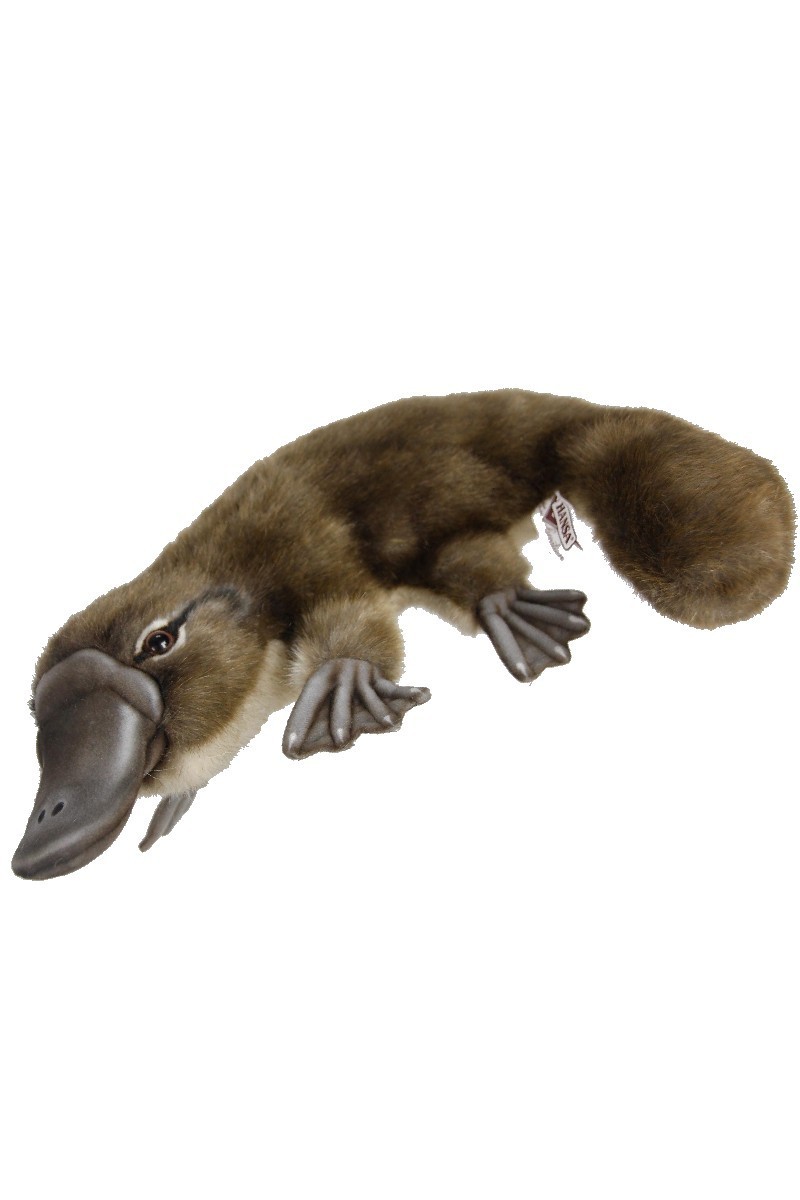 PLATYPUS