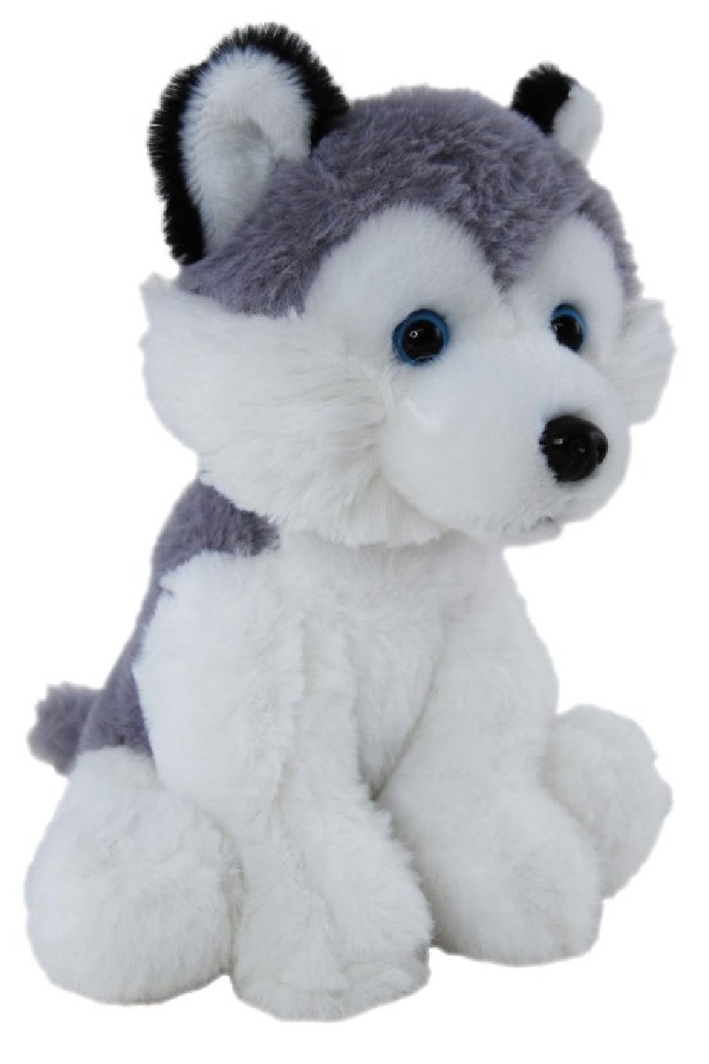 personalised husky teddy