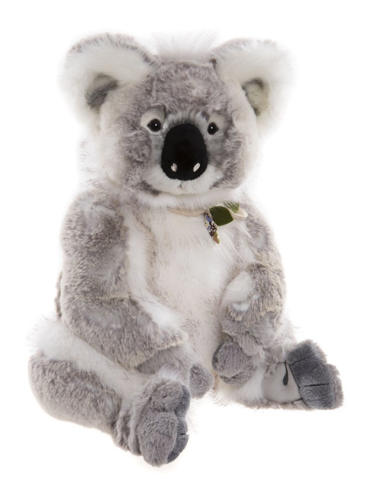 GLEN KOALA