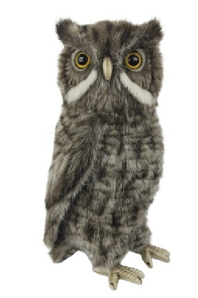 SCREECH OWL