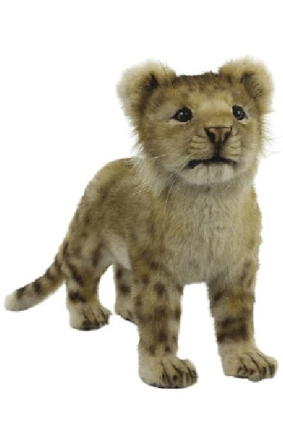 LION CUB <BR> STANDING