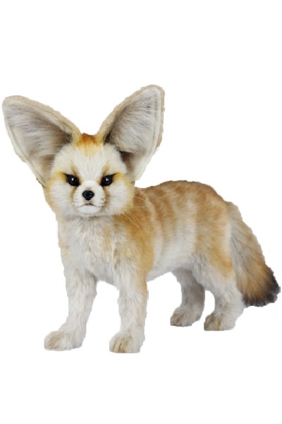 FENNEC FOX