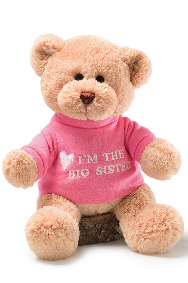 BIG SISTER