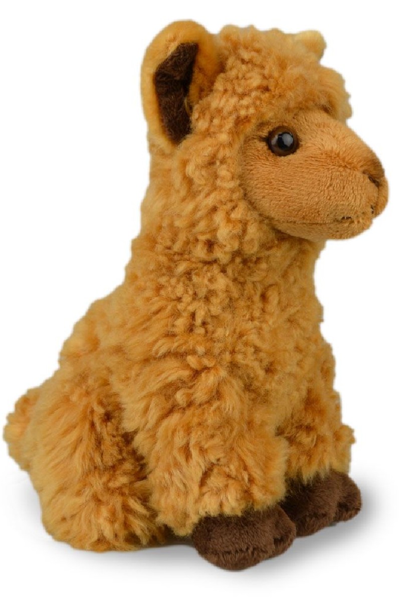 ALPACA