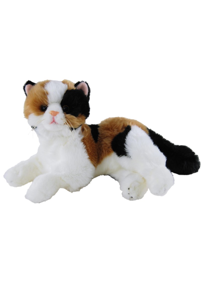 CALICO CAT