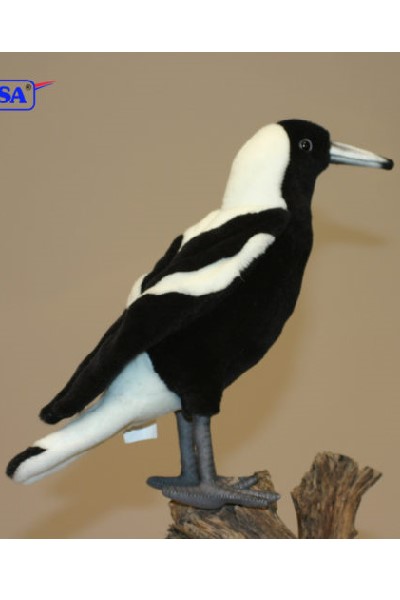 MAGPIE