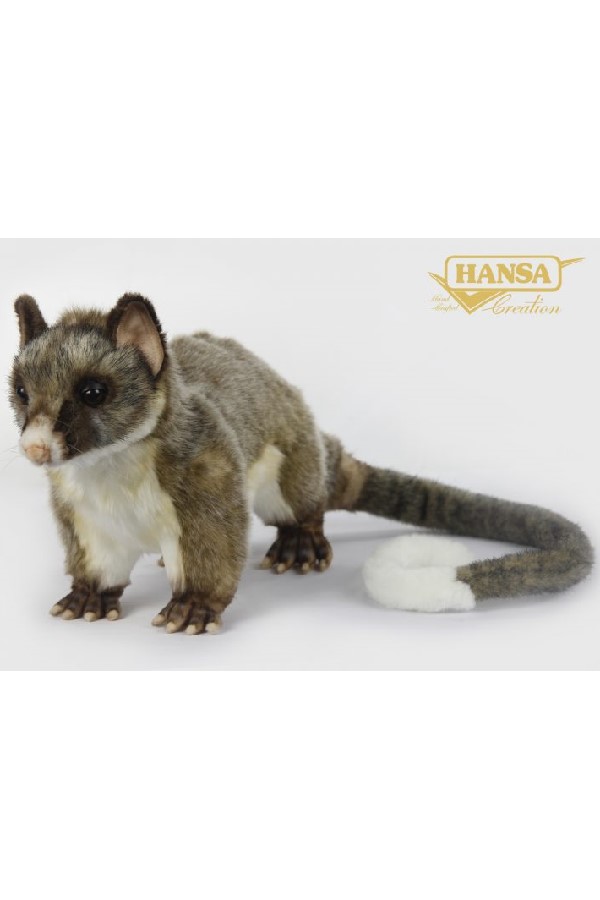 BRUSH TAIL POSSUM